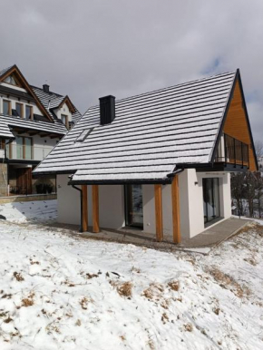Domek Vista Zakopane